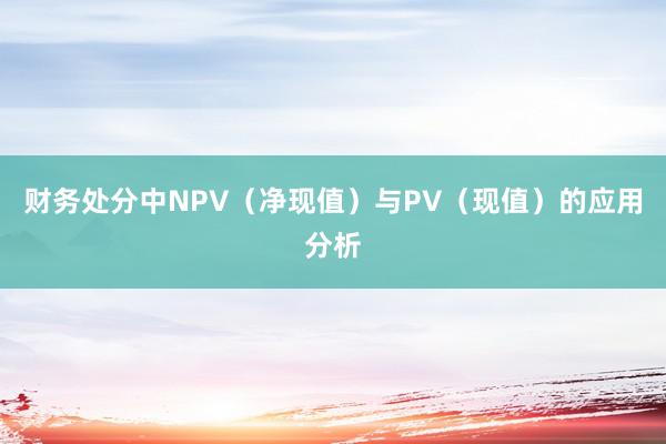 财务处分中NPV（净现值）与PV（现值）的应用分析