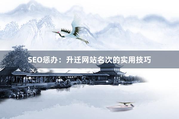 SEO惩办：升迁网站名次的实用技巧