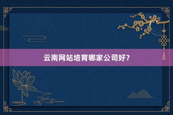 云南网站培育哪家公司好？