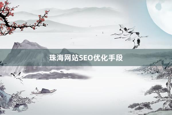 珠海网站SEO优化手段